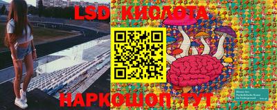 гидра Свободный